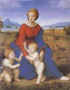 RAFFAELLO Sanzio The virgin mary  on the grass oil painting